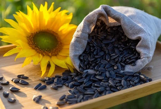 Semínka jsou superpotravina, která podporuje zdraví v mnoha směrech.