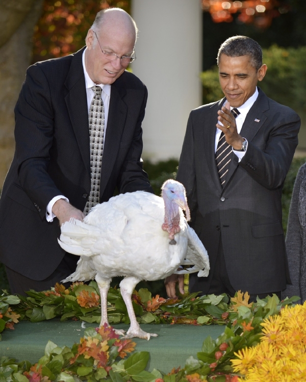 Obama se krocanovi Cobblerovi "omluvil" za Den díkůvzdání.