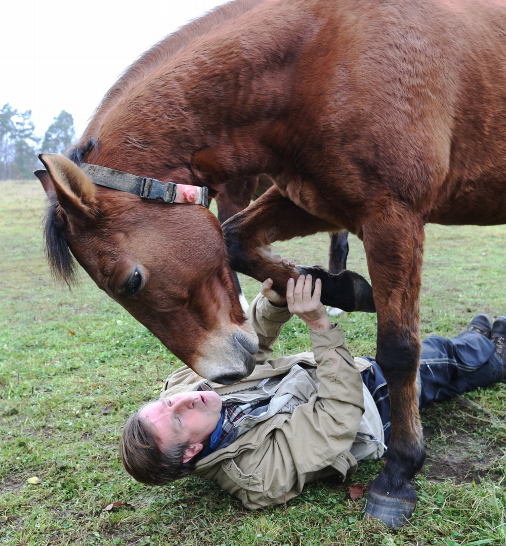 Herec svým koním naprosto důvěřuje.