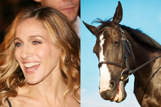 Herečku Sarah Jessicu Parkerovou čím dál častěji připodobňují ke koním. Proč? Kdo ví. Zřejmě za to může její protáhlý tvar obličeje. (Foto: shutterstock.com)