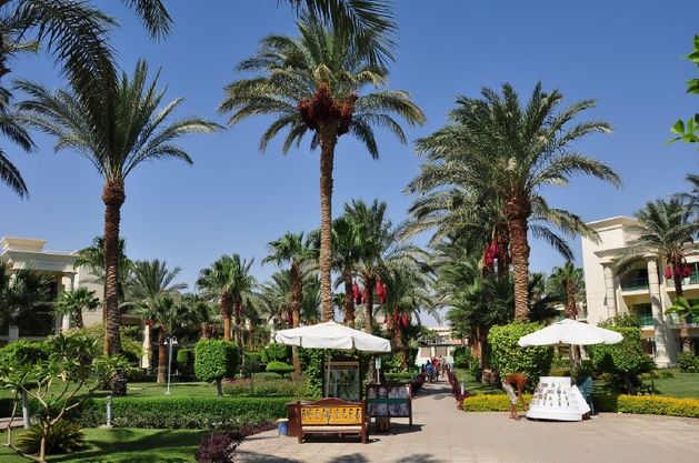 Hurghada patří mezi oblíbené turistické destinace.