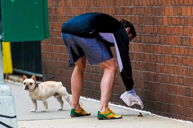Se svým psíkem vyráží na procházky Hugh Jackman.