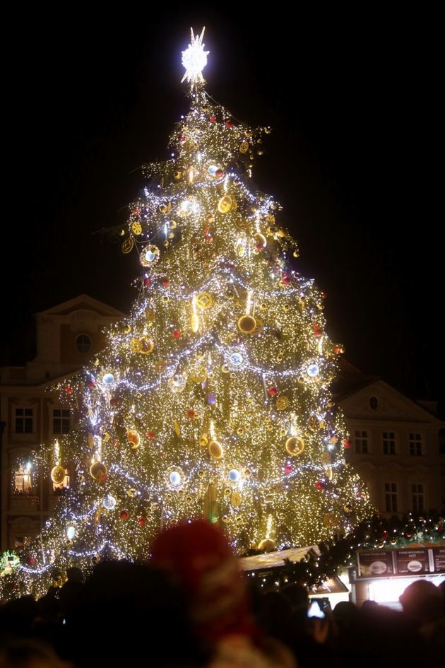 Vánoční strom měří dvacet metrů a vyrostl v Ratajích nad Sázavou.