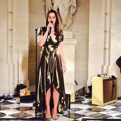 Na předsvatebním večírku zazpívala i Lana Del Rey.