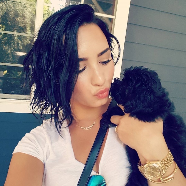 Demi Lovato dostala k narozeninám nového pejska a okamžitě si ho zamilovala. 