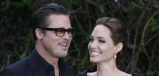 Brad Pitt a Angelina Jolie stále hledají ideální místo k životu.