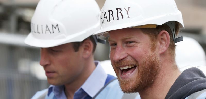 Princové William a Harry se zapojili do charitativního projektu.