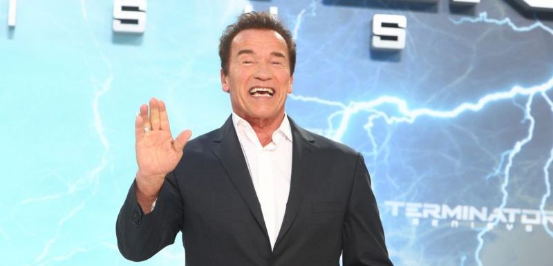 Arnold Schwarzenegger možná prorazí i v Bollywoodu.