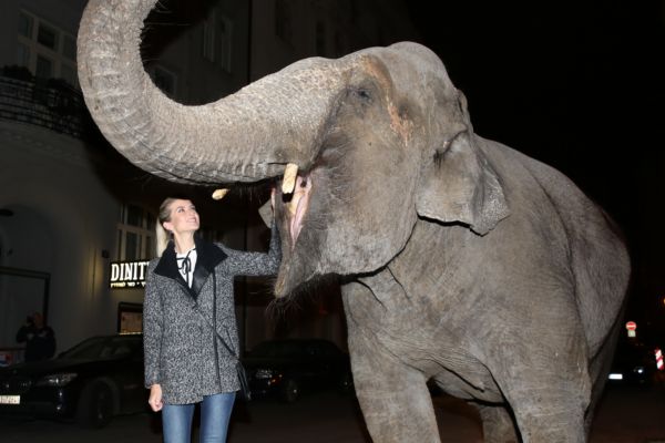 Ani Vítová neodolala focení se slonem.