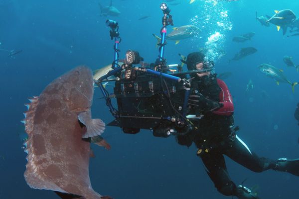 Pro natáčení pod vodou byla vyvinuta speciální 3D technologie.