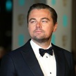 Leonardo DiCaprio.