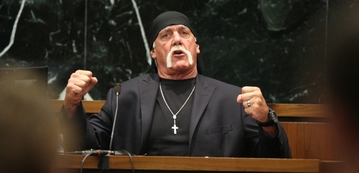 Hulk Hogan se domáhá odškodného ve výši sto milionů dolarů.