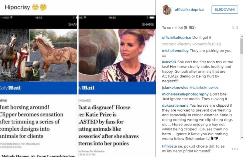 Vlevo článek oslavující originalitu stříhání koní, vpravo článek kritizující Katie Price. Ta si do redakce Daily Mailu pěkně rýpla.