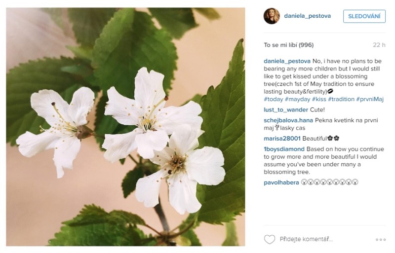 Že by pusu dostat chtěla, svěřila Daniela Peštová instagramu. A to i s anglickým vysvětlením, proč že se to my Češi pod rozkvetlými třešněmi vlastně líbáme. 