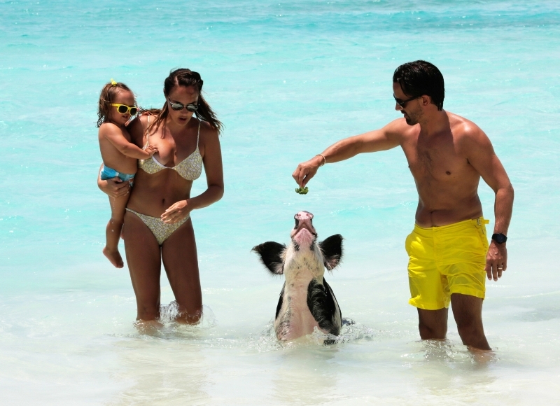 Tamara Ecclestone s dcerou Sophií a manželem Jayem Rutlandem si byli zaplavat s prasaty na Bahamách.
