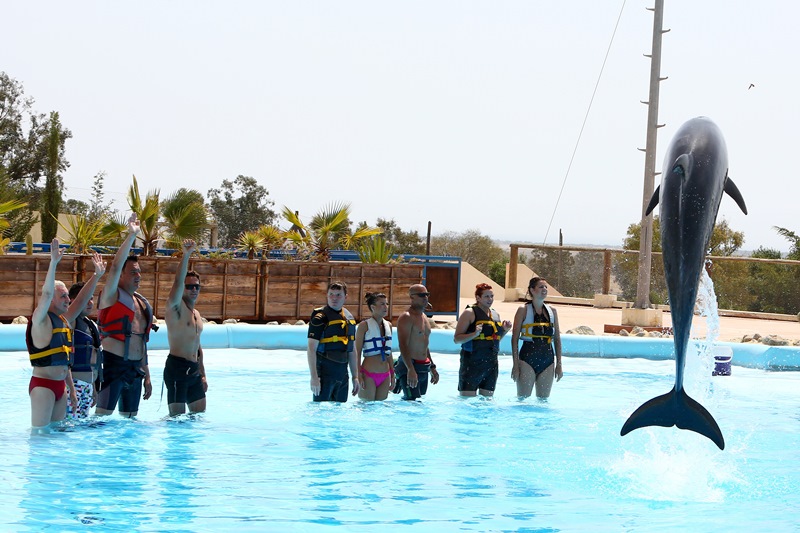 Velkým zážitkem bylo pro všechny plavání s delfíny.