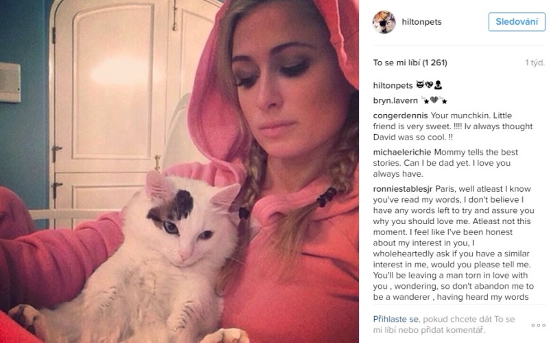 Ve sbírce mazlíčků Paris Hilton nechybí ani roztomilá kočička.