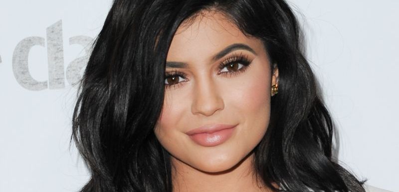Kylie Jenner má vlastní kosmetiku a líbí se jí zvláštní odstíny barev.