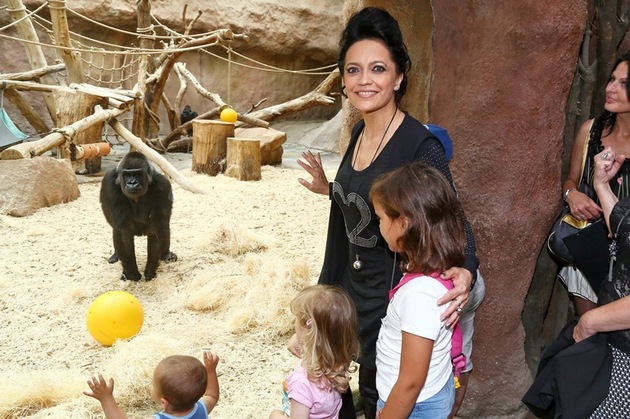 Zlatá slavice byla nedávno hostem pražské zoologické zahrady.