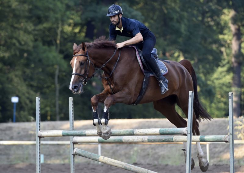 Během tréninků střídá několik povahově různých koní. Je potřeba být připraven na vše.