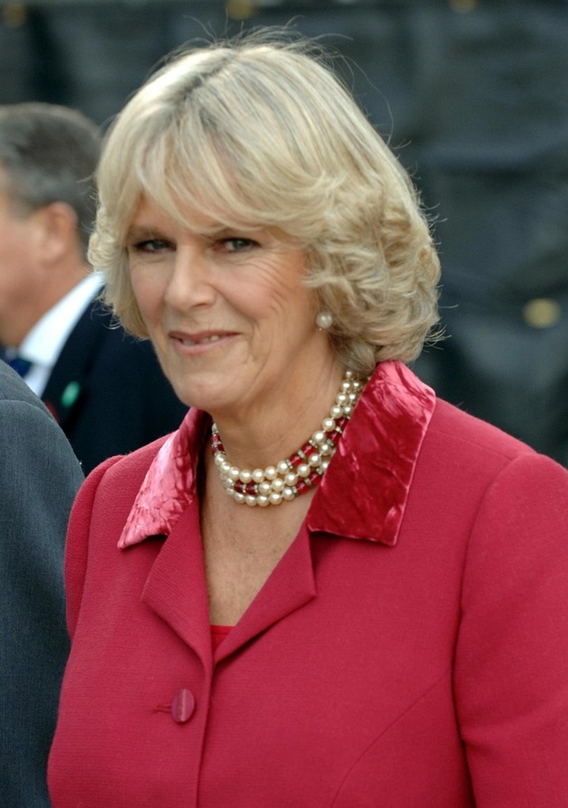 Camillu si vzal princ Charles v roce 2005.