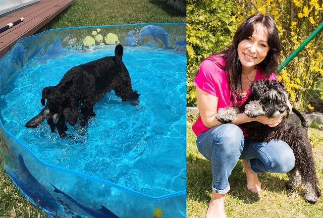 Heidi Janků koupila psovi bazén.