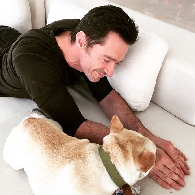 Hugh Jackman miluje psy.