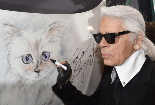 Neuvěříte, co dokázala kočka Karla Lagerfelda.