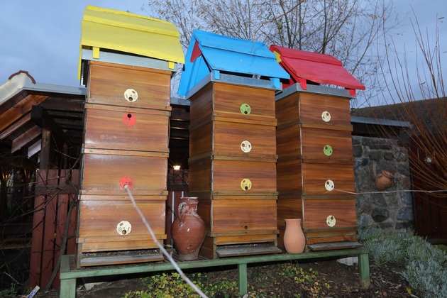Nad sklípkem stojí několik úlů. Domácí med můžete ochutnat v restauraci.