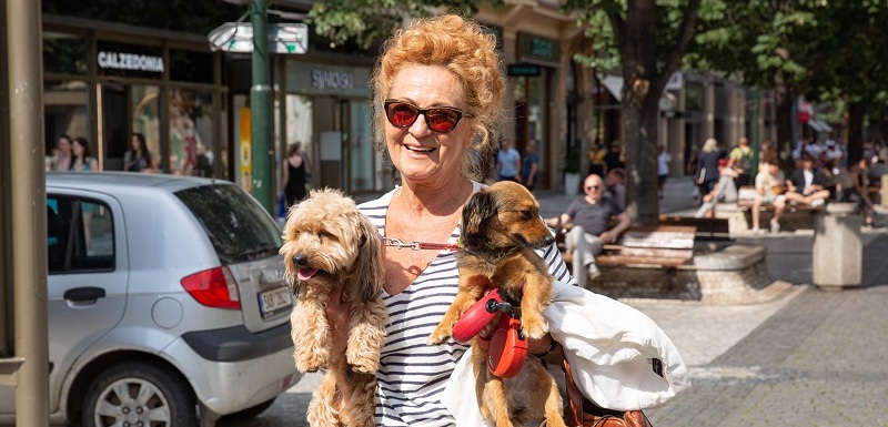 Simona Stašová měla na charitativní akci psí doprovod.