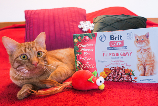 Vánoční krmivo pro kočku od zančky Brit. 