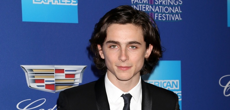 Timothée Chalamet měl těžký začátek kariéry. Co mu vytýkali? 