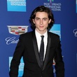 Timothée Chalamet měl těžký začátek kariéry. Co mu vytýkali? 