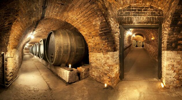Vydejte se po stopách dávných mistrů, kteří vynikali nejen výrobou vína