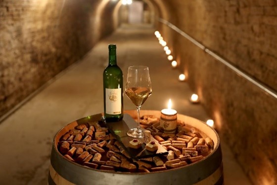 Vydejte se po stopách dávných mistrů, kteří vynikali nejen výrobou vína