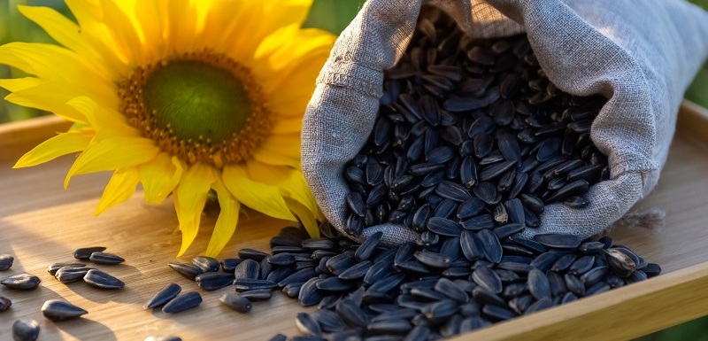 Semínka jsou superpotravina, která podporuje zdraví v mnoha směrech.