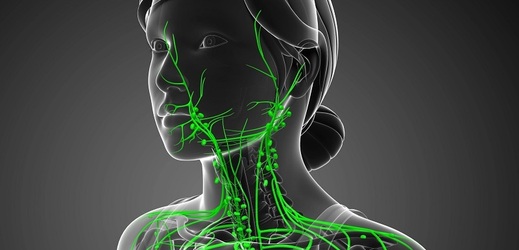 Lymfatický systém hraje v našem těle klíčovou roli.