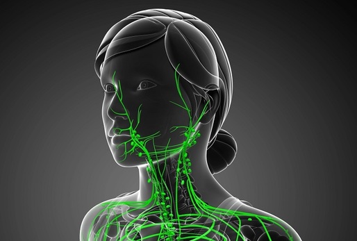 Lymfatický systém hraje v našem těle klíčovou roli.