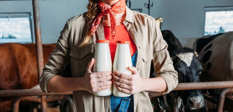 Historie mléka sahá až do doby před více než 8 000 lety.