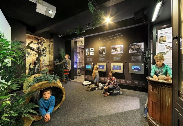 Cesta do pravěku v Muzeu Karla Zemana. 