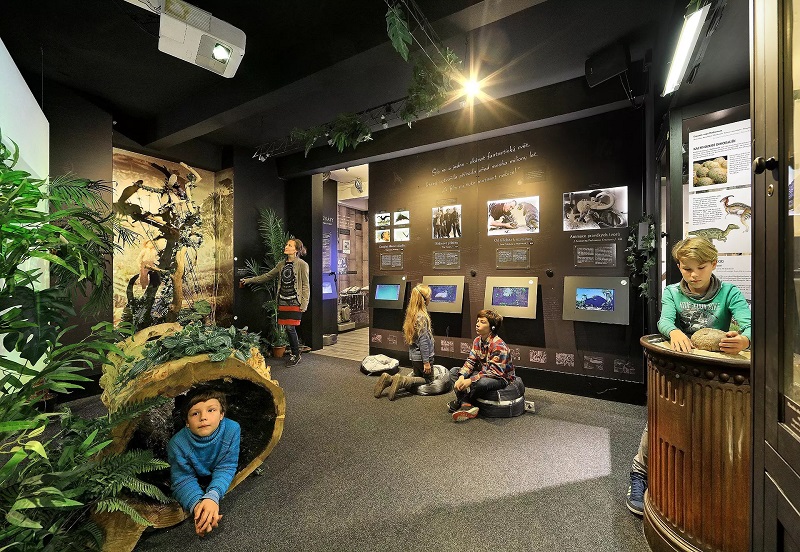 Cesta do pravěku v Muzeu Karla Zemana. 