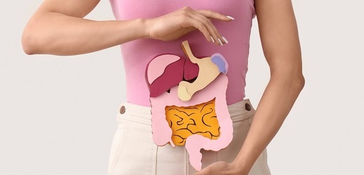 Kromě dostatku vlákniny je pro zdraví střev velmi důležitý také příjem probiotik a prebiotik.