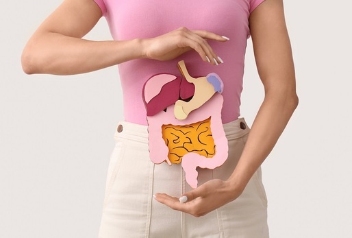 Kromě dostatku vlákniny je pro zdraví střev velmi důležitý také příjem probiotik a prebiotik.