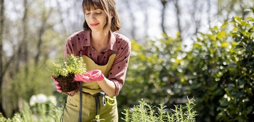 Podzimní sázení může připravit vaši zahradu na krásné a produktivní jaro.