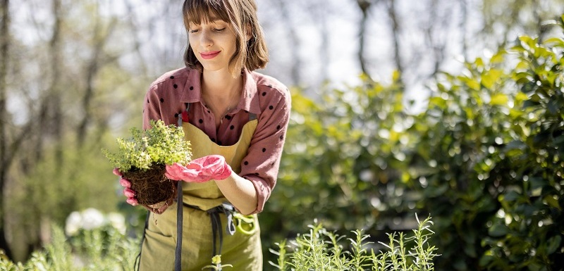 Podzimní sázení může připravit vaši zahradu na krásné a produktivní jaro.