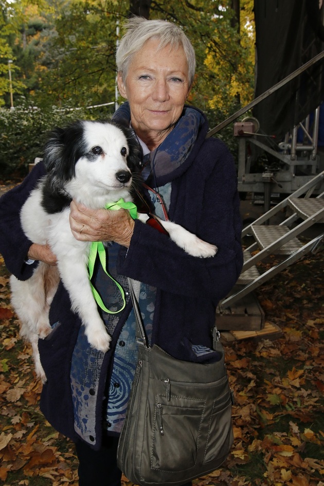 Poté, co herečka Dana Syslová přišla o psí parťačku Máňu, jež s ní účinkovala i v seriálu Ulice, se zamilovala do štěňátek v pražském útulku v Troji. Trpělivě čekala, až si jednu chlupatou kuličku bude moci odnést domů, a poctivě štěňátka navštěvovala. Nakonec se její věrnou kamarádkou stala černá fenka Míša.
