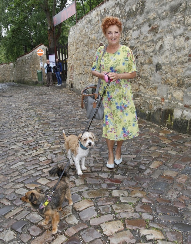 Oblíbená herečka Simona Stašová si před lety adoptovala z útulku fenku Pepinu, když její synové vylétli z hnízda. Fenka bohužel naposledy vydechla v roce 2021 pod koly auta. Stašová si ale nedokázala svůj život bez zvířete představit, a tak vyrazila do útulku, odkud si přivedla psí sourozence - Béďu a Fanču.