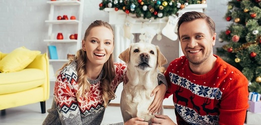 Pokud přece jen chcete svému čtyřnohému parťákovi dopřát to, co jíte o Vánocích vy, vsaďte na některou z bezpečných alternativ.