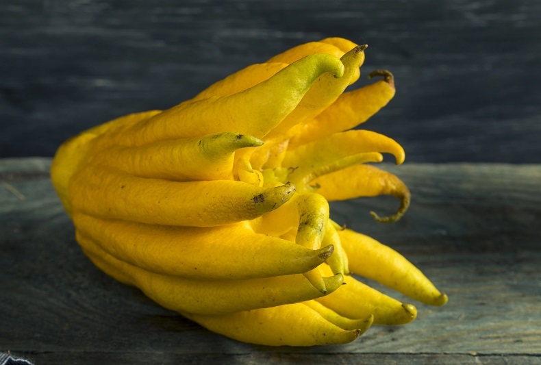 Exotické citrusy: jak je využít v kuchyni? 